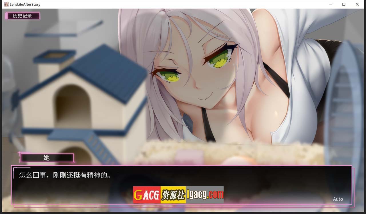 图片[5]-我的镜头H人生2：AfterStory 官方中文版-acg游戏姬