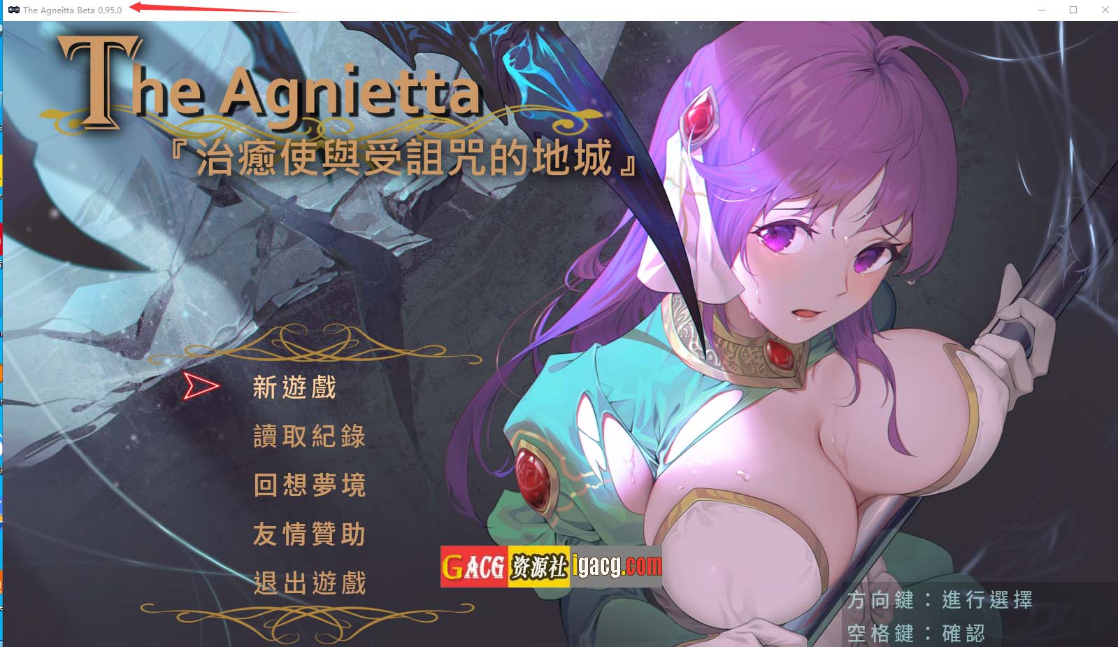 治愈使与受诅咒的地下城 治癒使與受詛咒的地城 Ver1.05 官方中文无修版+全存档-acg游戏姬