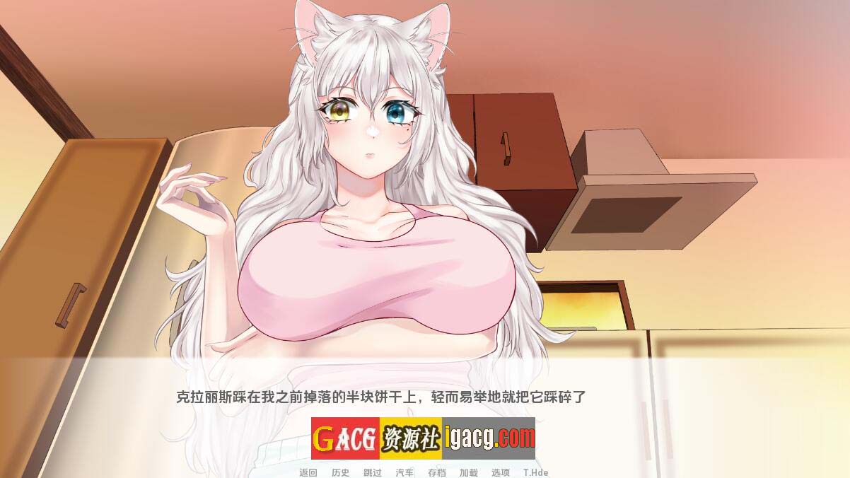 图片[2]-猫女 涅槃米糠 Nezumicon-v0.1.13 汉化版-acg游戏姬