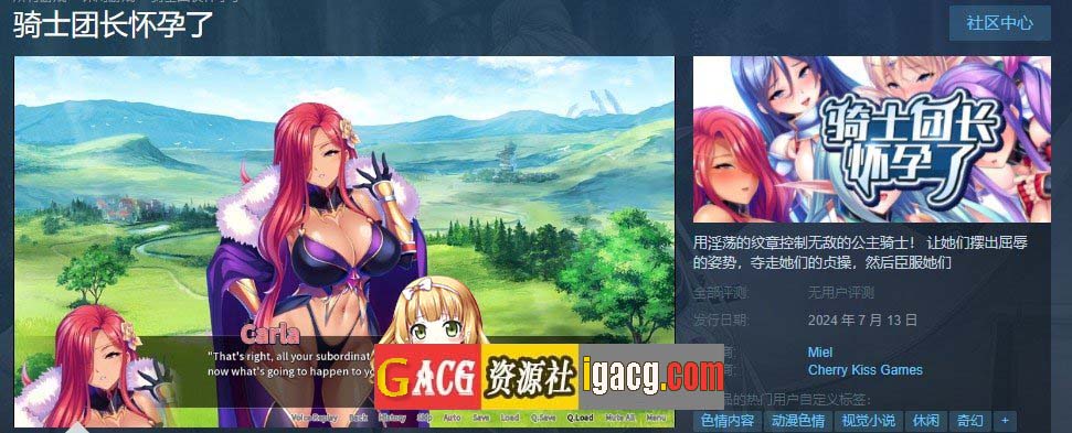 骑士团长怀孕了 官方中文版-acg游戏姬