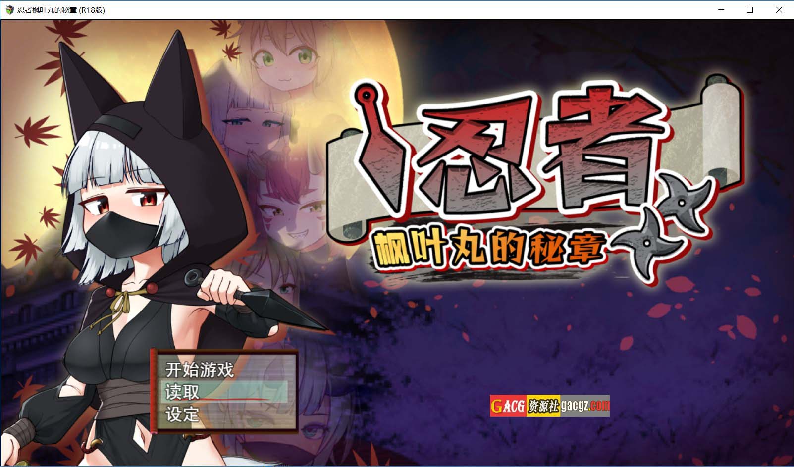 忍者枫叶丸的秘章 官方中文步兵版+存档-acg游戏姬